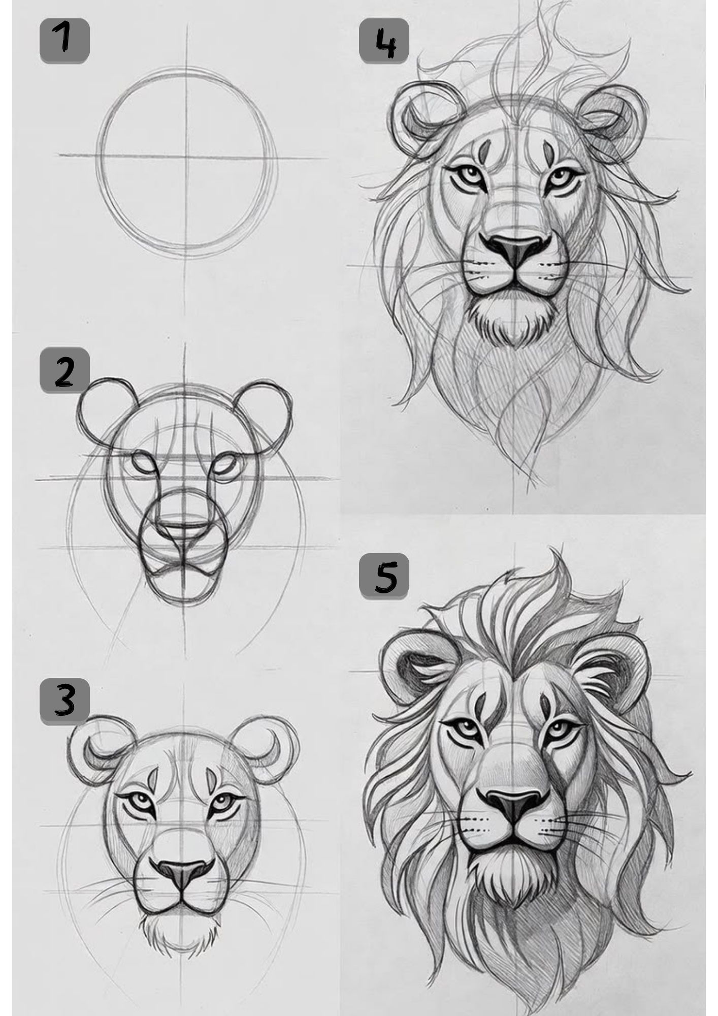 How to draw a realistic lion step by step pencil drawing tutorial